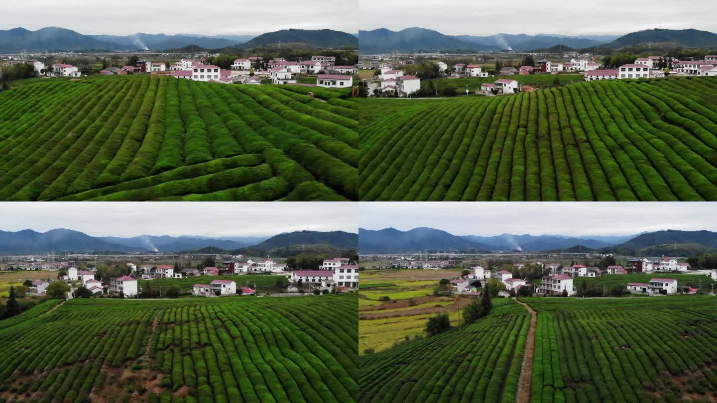 江西浮梁县寒溪村，对，“大地之灯”所在地