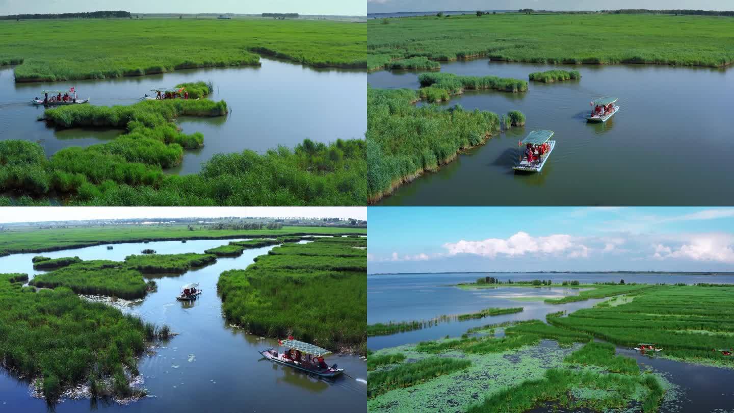 查干湖夏季湿地游船穿行芦苇间