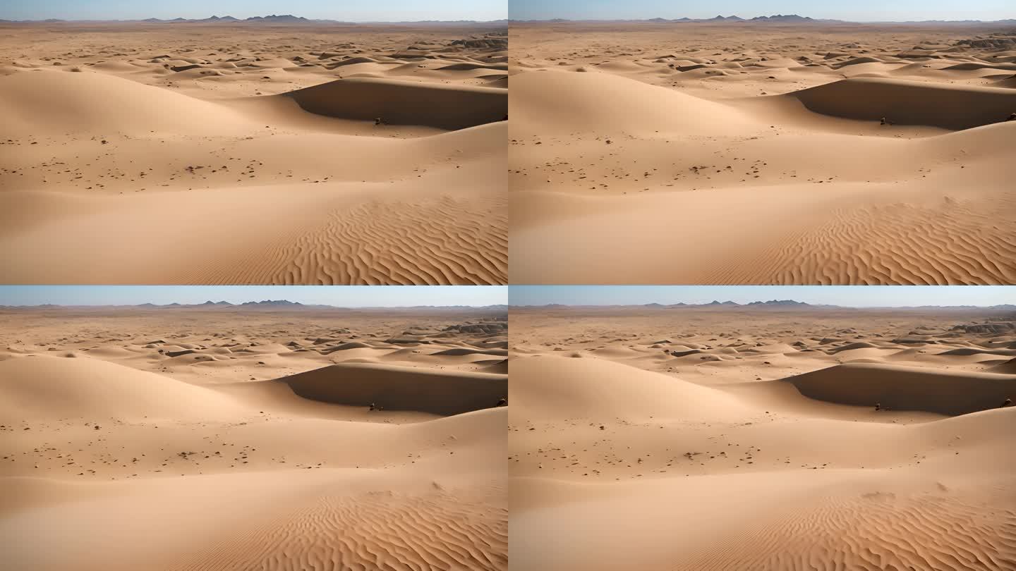 壮观的无人机镜头下的广阔美丽的沙丘