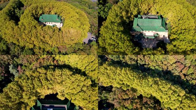 南京美龄宫钟山景区自然风光历史风景航拍