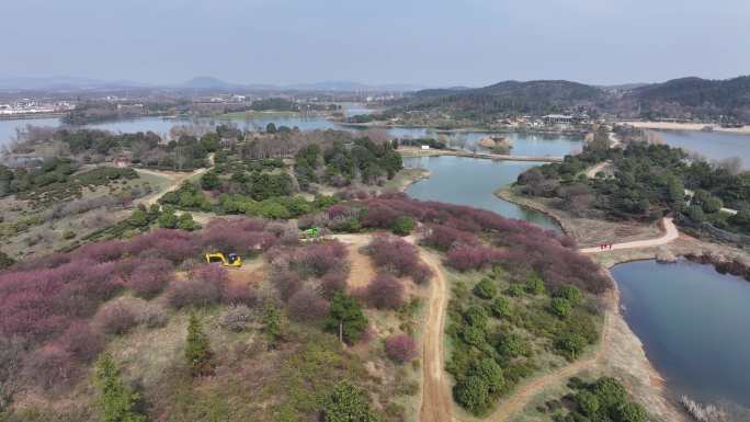 梅花、山水、湖、远景、航拍