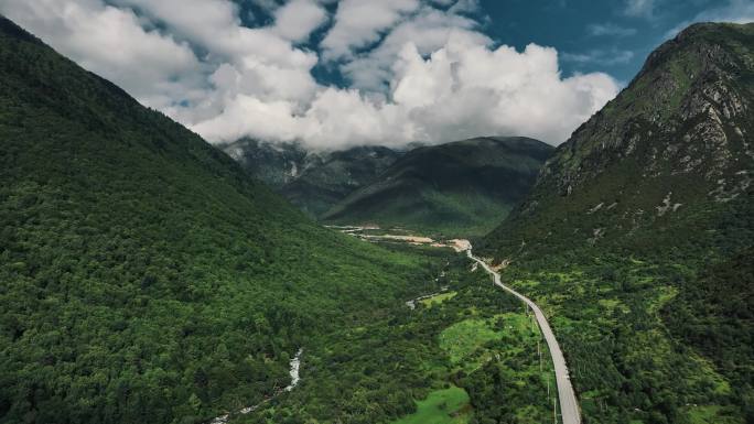 高山森林航拍