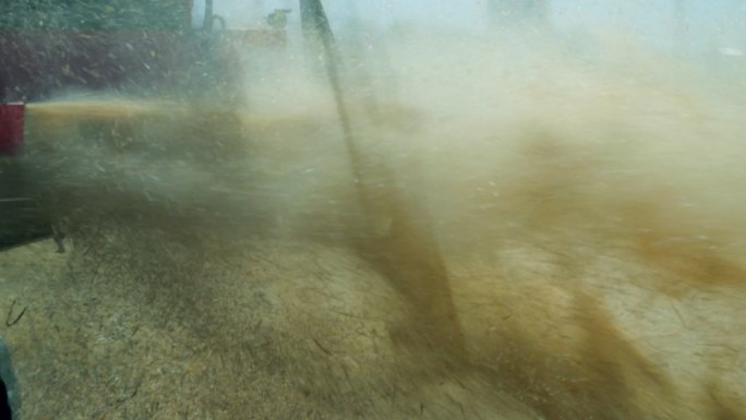 小麦收获、雨天小麦