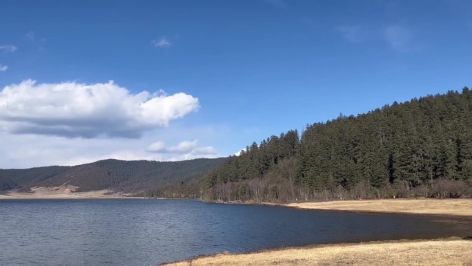 普达措公园 美景 高原地区