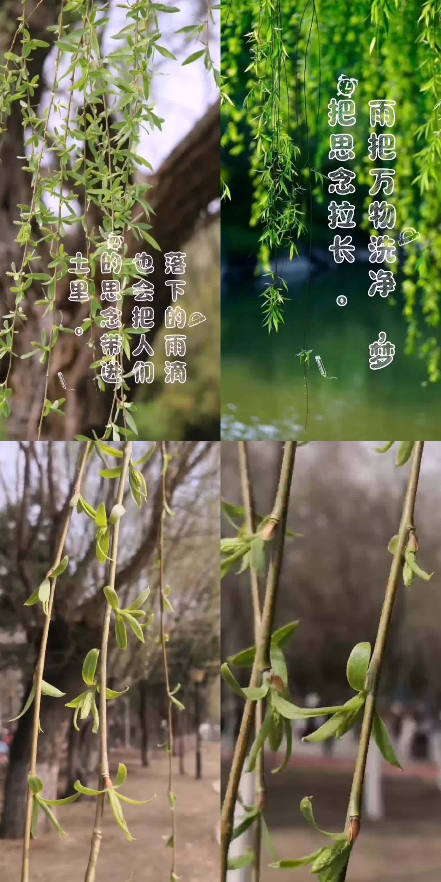 思念如细雨纷纷，却润万物于无声