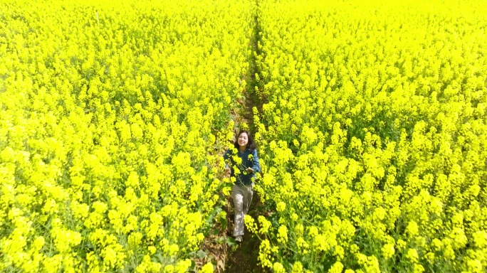 年轻美女走在春天盛开的金黄油菜花海里