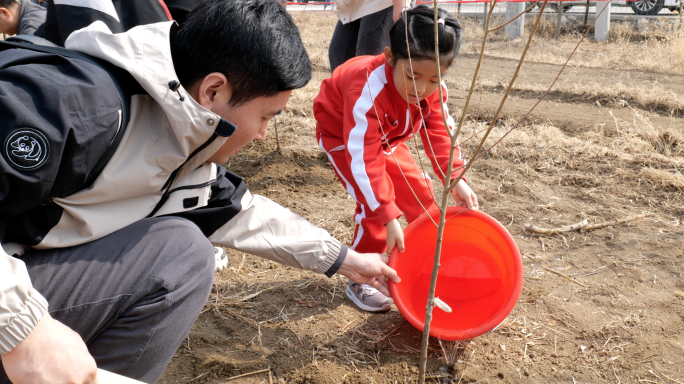 植树节孩子们参加植树活动