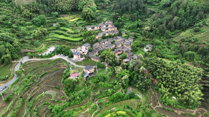 松阳杨家堂古村航拍