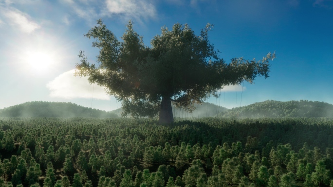 沙漠绿化沙漠治理水滴坠落植物生长环境片头