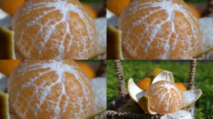 沃柑橘子橙子柑橘