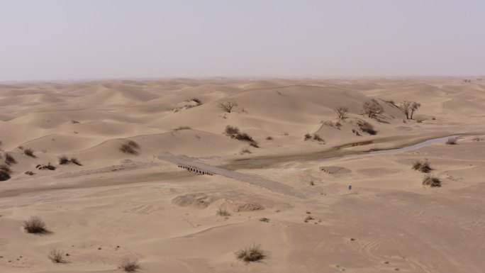 内蒙古额济纳旗沙漠绿洲湿地航拍