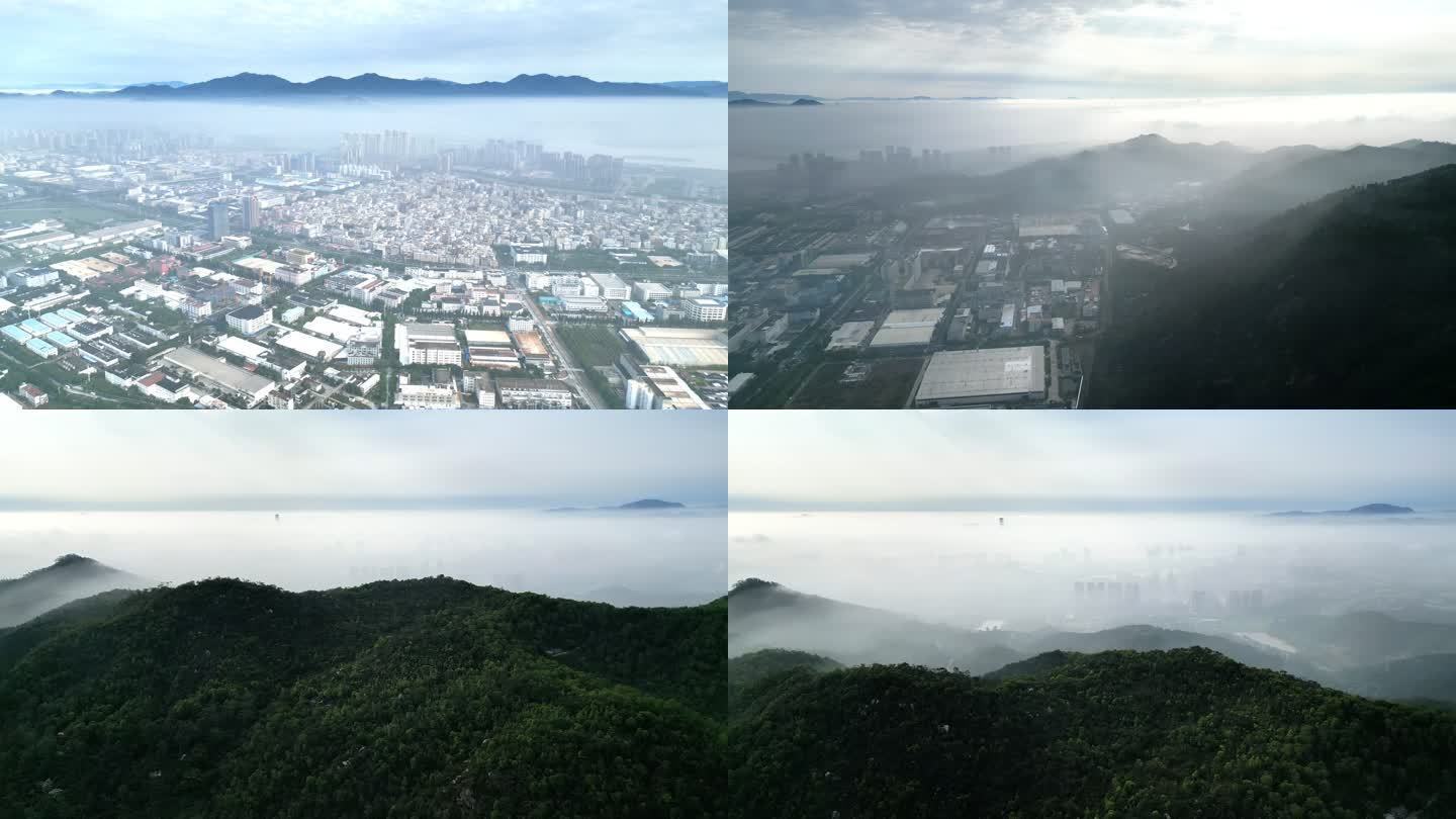 晨雾之下的厦门海沧新阳工业区