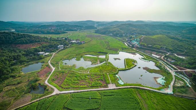 衡阳农村土地稻田航拍3