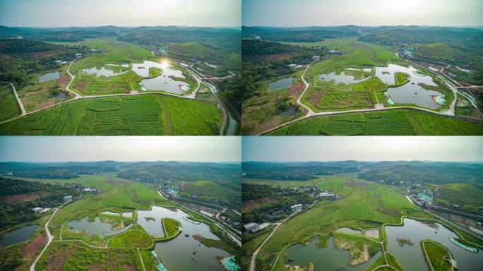 衡阳农村土地稻田航拍3