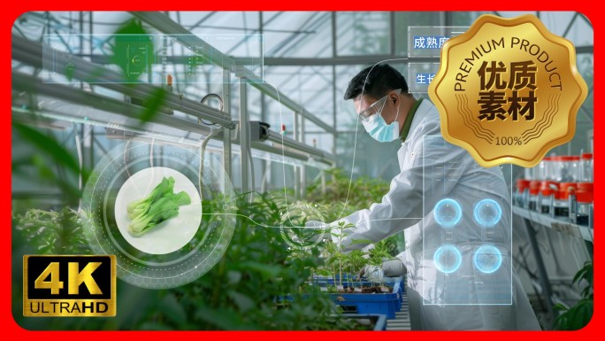科技农业 智慧农业 科技大棚 AE模版