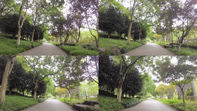 公园树林植物小道路运镜空镜头