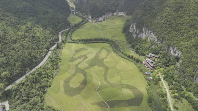 4K航拍贵州安顺龙宫景区农田艺术