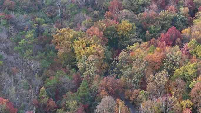 4K-log-航拍南京栖霞山