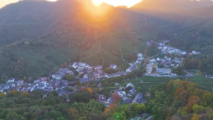 唯美杭州西湖龙井茶文化景区航拍茶园地茶叶