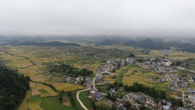 航拍村庄油菜花田