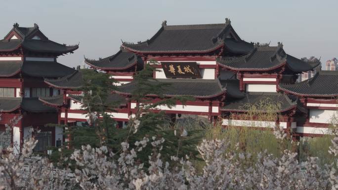 航拍威海华夏城景区大门华夏第一牌楼春景