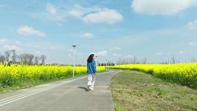 年轻美女走在春天蓝天下盛开金黄油菜花海里