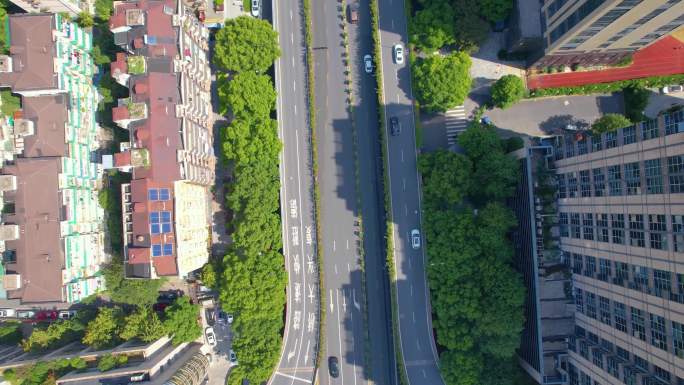 杭州西湖景区西湖大道定安路车辆车流风景视