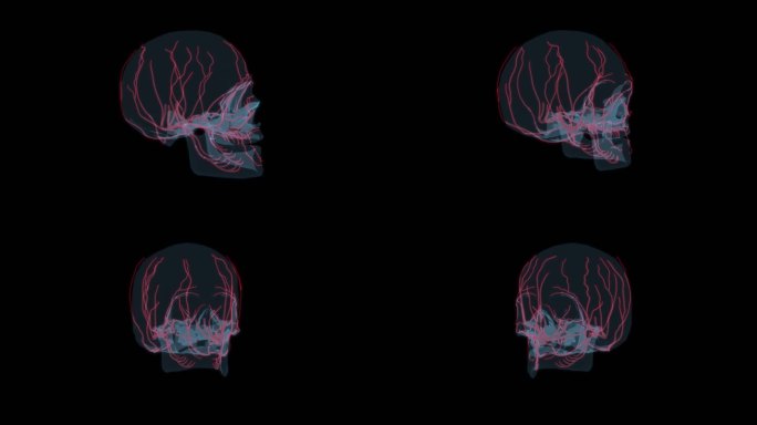 头部神经 循环系统神经内科看病骷髅恐怖9