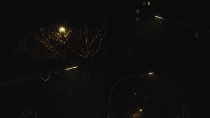 【4K】冬季夜晚路灯下的雪花
