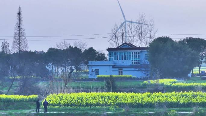 航拍乡村农村油菜花农民民房风力发电