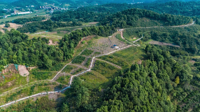 衡阳水口山刘家湾生态园矿区生态修复航拍2