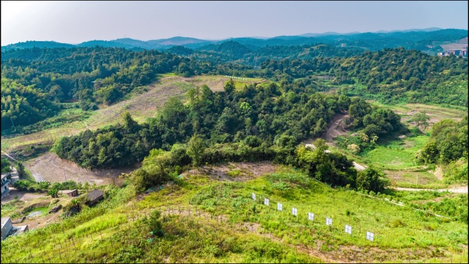 衡阳水口山茶树种植绿水青山标牌航拍2