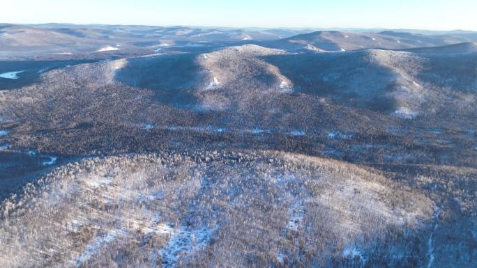 大兴安岭冬季黎明雪色山林