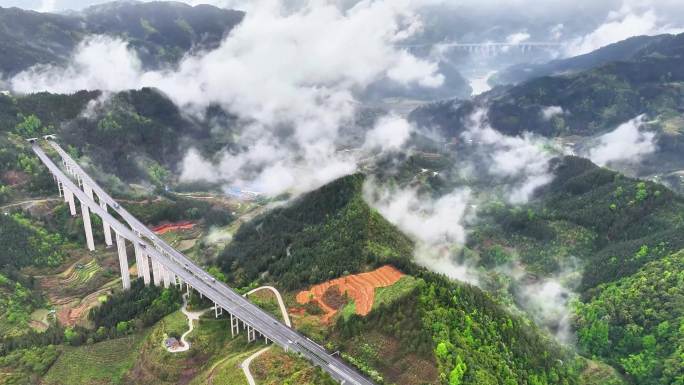 乡村高速清晨雾景