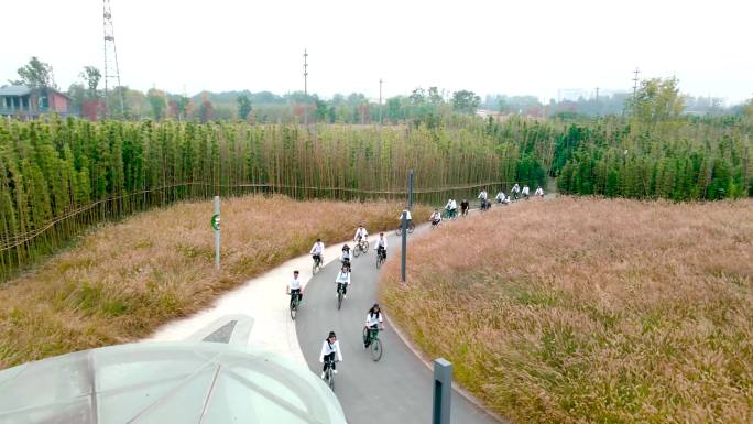 公园公司团建一群人骑自行车