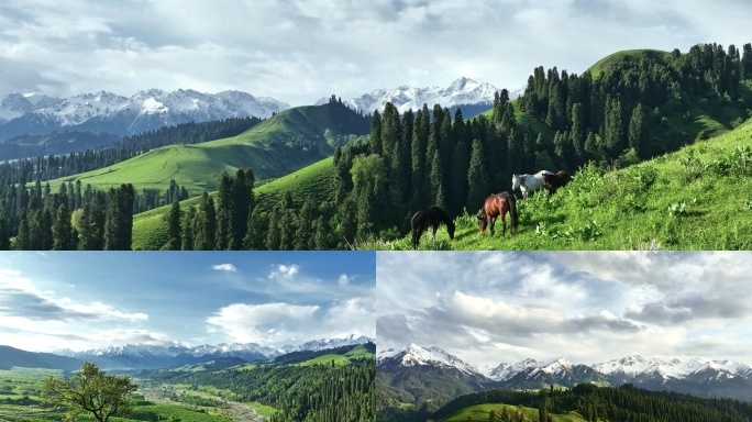 高山草原雪山森林航拍