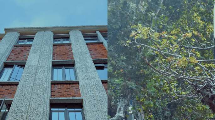 竖拍上海宏业花园