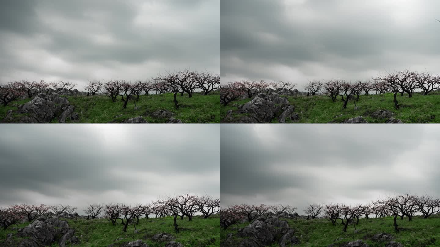 桃花园里暴风雨来临之前的乌云密布云流动