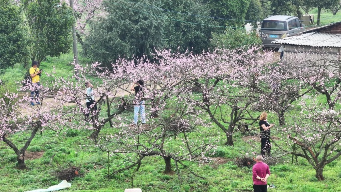 中国广东省清远市连州市桃花