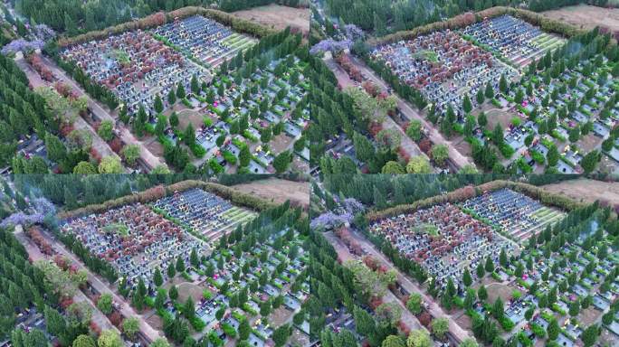 俯瞰陵园祭祖烧纸全景