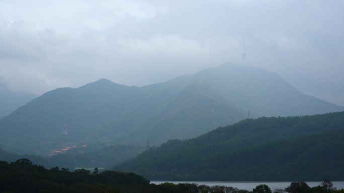 烟雨梧桐山