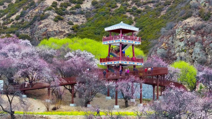 4K航拍西藏林芝嘎拉桃花村49