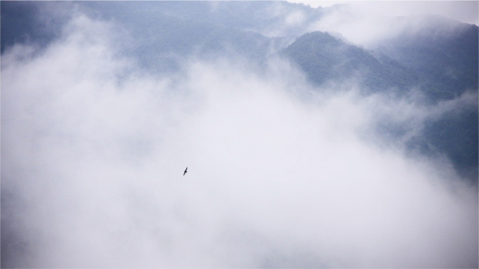 高山云海间，禅意空灵映心境