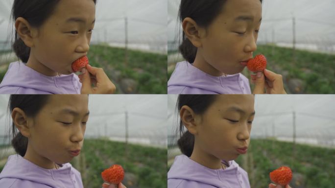 女孩手拿草莓吃草莓特写