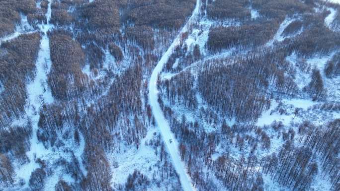 大兴安岭林海雪原风光合集