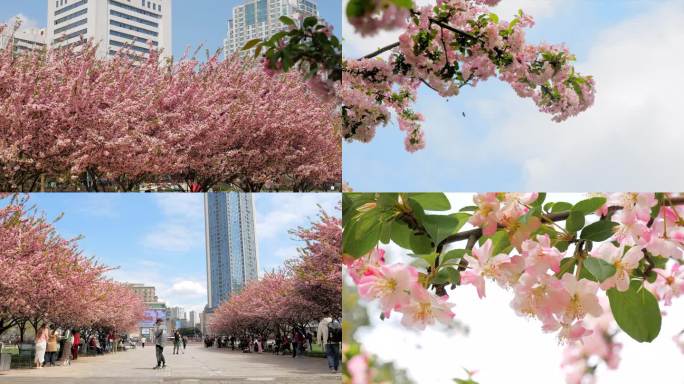 绵阳城市中心广场