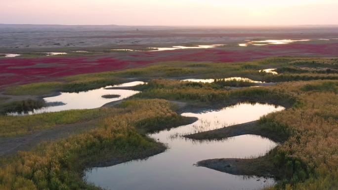 沼泽地 红地毯 芦苇荡 湖泊 河流 秋色