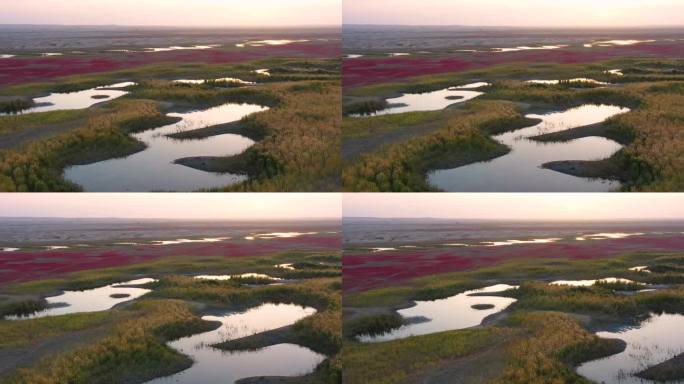 沼泽地 红地毯 芦苇荡 湖泊 河流 秋色