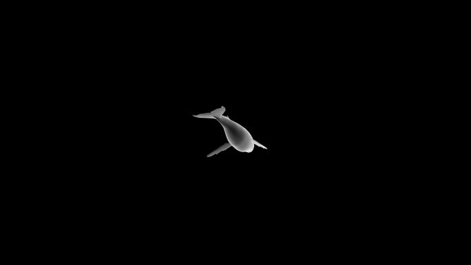多镜头鲸鱼游动动画
