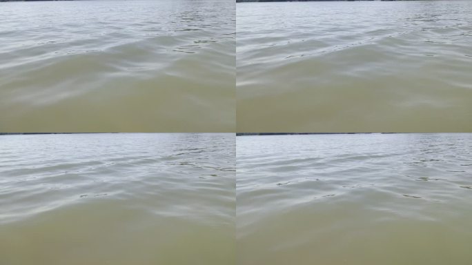 南湖湖面光影